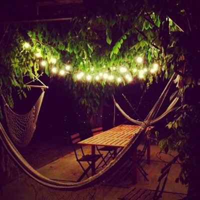 100V-220V Dimensioni personalizzate Ghirlanda a LED stellato per sfondo da letto da giardino all'aperto