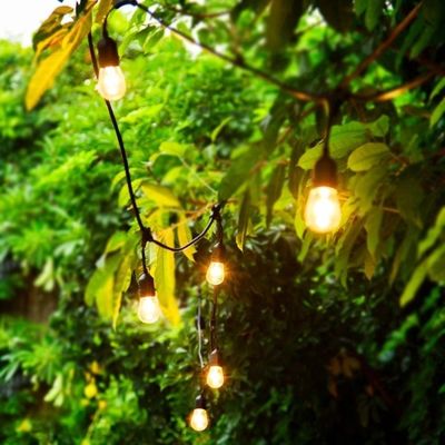 Trasforma la tua casa in un paese delle meraviglie invernali con prodotti Caffè Luci a corda solare